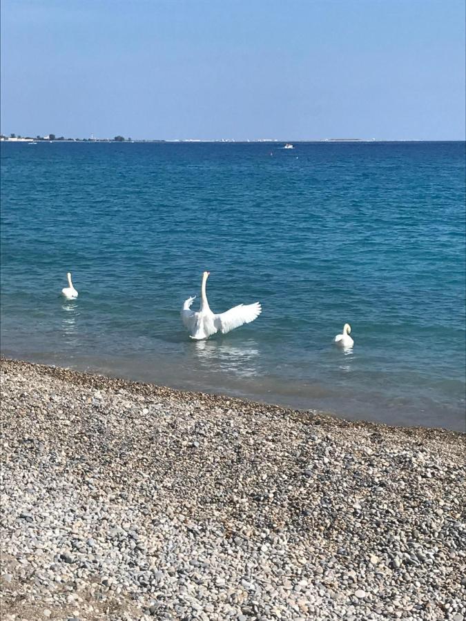 Hotel Bleu Riviera Cagnes-sur-Mer